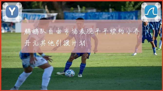 鹈鹕队自由市场表现平平续约小乔丹无其他引援计划