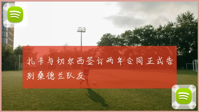 扎卡与切尔西签订两年合同正式告别桑德兰队友
