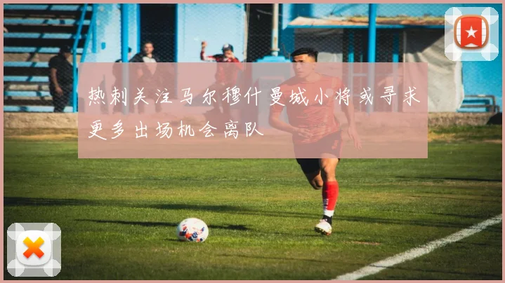 热刺关注马尔穆什曼城小将或寻求更多出场机会离队